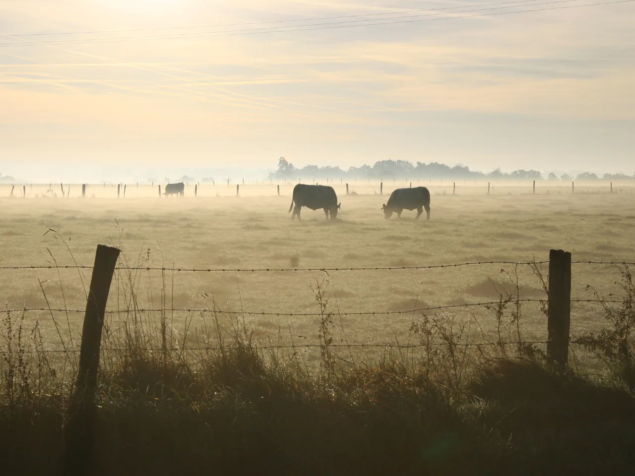 Lusinage en Normandie